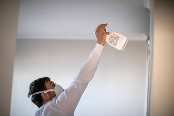 Best Mold Remediation Experts  in Grand Rapids, MN