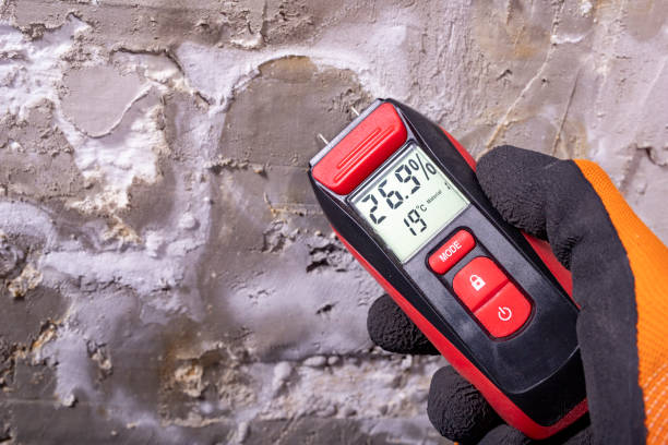 Best Professional Mold Removal  in Grand Rapids, MN