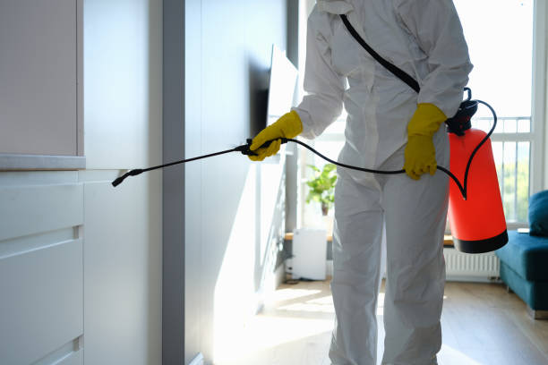 Crawl Space Mold Removal in Grand Rapids, MN